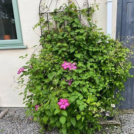 델라볼 Rural Cosy Retreat For Two Near Port Isaac 아파트 외부 사진